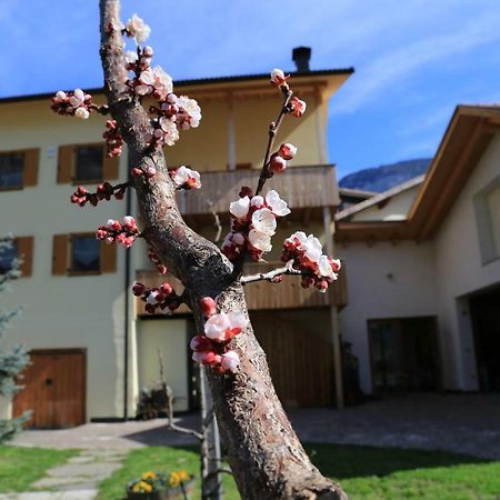 Ferienhof Weingenuss Daire Cortina Sulla Strada del Vino Dış mekan fotoğraf