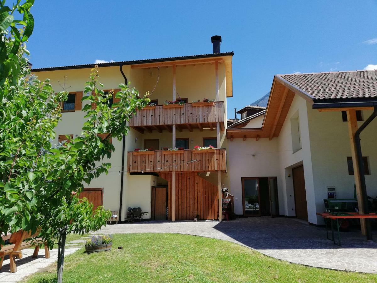 Ferienhof Weingenuss Daire Cortina Sulla Strada del Vino Dış mekan fotoğraf