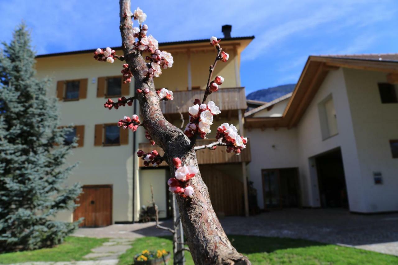 Ferienhof Weingenuss Daire Cortina Sulla Strada del Vino Dış mekan fotoğraf